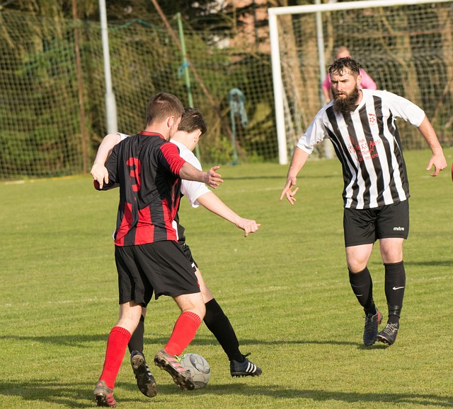 填补这一空 填补这一空